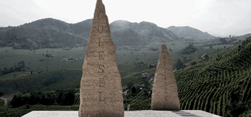 Fourth Image
